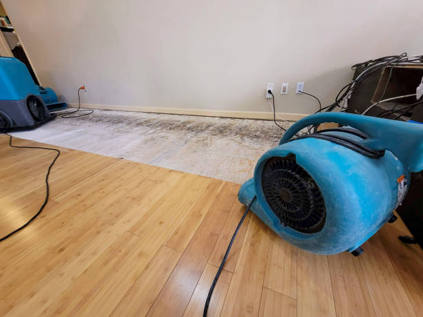 Professional Sewage Cleanup technician working in Harrod, OH